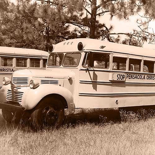 66-Passenger School Bus